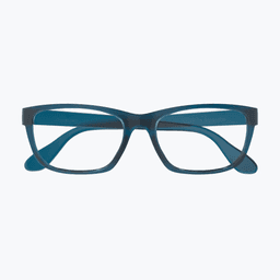 Prescription Glasses