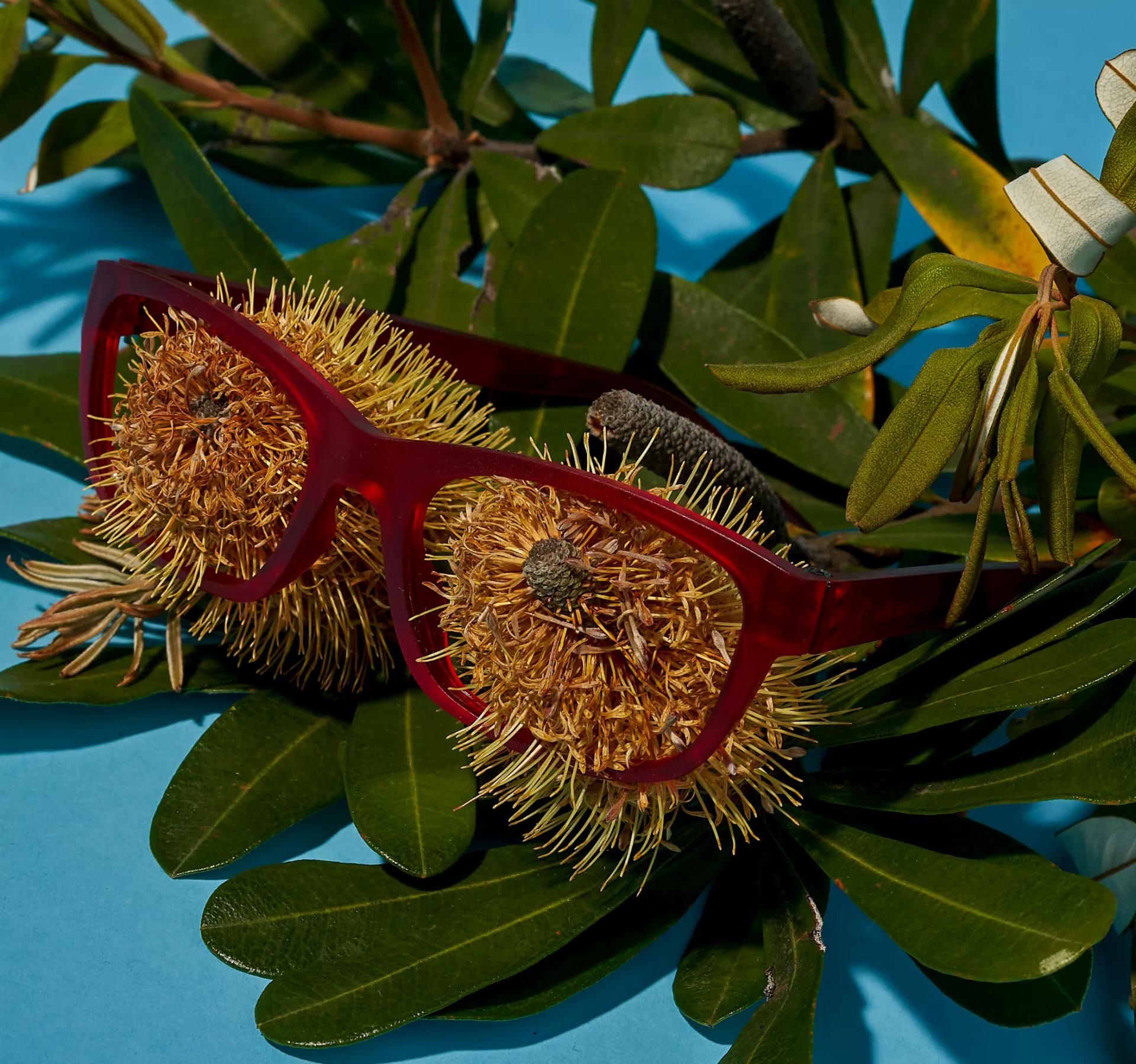 A pair of red Dresden eyeglasses frames resting on spiky, round rambutan fruits among green leaves, symbolizing the delicate nature of lenses and the importance of scratch prevention.