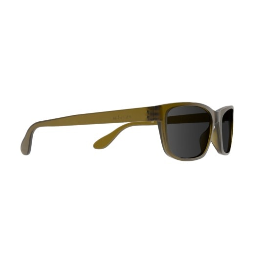 Non Prescription Sunglasses Recycled Money